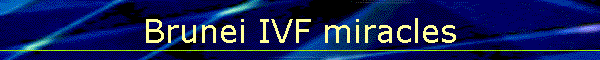 Brunei IVF miracles